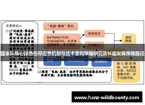 国家队核心球员伤停应急机制与战术重构策略研究及长期发展保障路径