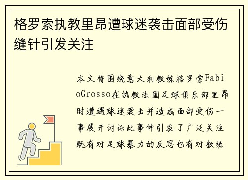 格罗索执教里昂遭球迷袭击面部受伤缝针引发关注